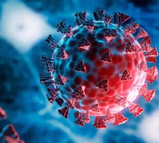 فلو کی نئی قسم کے باعث تعلیمی اداروں میں احتیاطی اقدامات