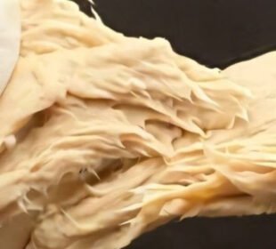 چینی سائنسدانوں نے چکن کا متبادل سستا اور غذائیت بخش گوشت تیار کرلیا