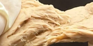 چینی سائنسدانوں نے چکن کا متبادل سستا اور غذائیت بخش گوشت تیار کرلیا