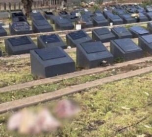 سڈنی میں مسلمانوں کے قبرستان کی بے حرمتی، قبروں پر جانور کے اعضا رکھ دیے گئے