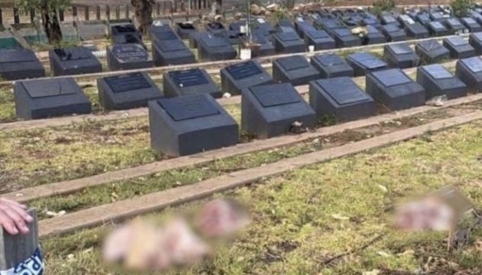 سڈنی میں مسلمانوں کے قبرستان کی بے حرمتی، قبروں پر جانور کے اعضا رکھ دیے گئے
