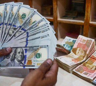 حکومت کا یوروبانڈ اور سکوک بانڈ سے گریز، پانڈا بانڈ کے اجرا کی تیاری