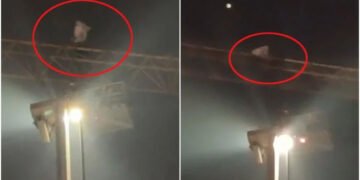 ایم پی اے ہاسٹلز میں کرین پر چڑھنے والے شخص کو مذاکرات کے بعد نیچے اتار لیا گیا 8 ایم پی اے ہاسٹلز میں کرین پر چڑھنے والے شخص کو مذاکرات کے بعد نیچے اتار لیا گیا