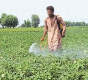 زرعی ادویات کی مارکیٹ میں خامیوں کی نشاندہی، اصلاحات کی ضرورت