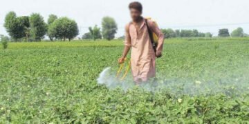 زرعی ادویات کی مارکیٹ میں خامیوں کی نشاندہی، اصلاحات کی ضرورت 4 زرعی ادویات کی مارکیٹ میں خامیوں کی نشاندہی، اصلاحات کی ضرورت