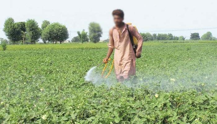 زرعی ادویات کی مارکیٹ میں خامیوں کی نشاندہی، اصلاحات کی ضرورت 1 زرعی ادویات کی مارکیٹ میں خامیوں کی نشاندہی، اصلاحات کی ضرورت