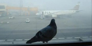 دھند کا راج، لاہور ایئرپورٹ پر پروازوں کا شیڈول درہم برہم