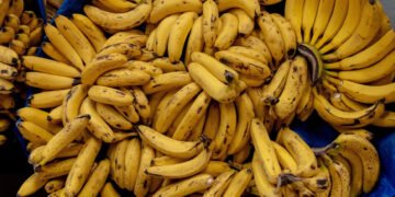 "کیلوں کو ایک ماہ تک تازہ رکھنے کا حیران کن گھریلو طریقہ" 18 "کیلوں کو ایک ماہ تک تازہ رکھنے کا حیران کن گھریلو طریقہ"