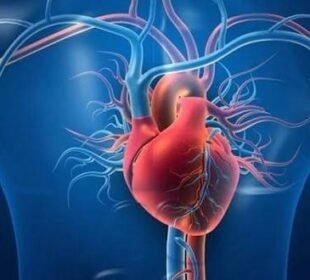 دل کے امراض سے بچاؤ کے آسان طریقے ، ماہرین کی نئی ہدایات