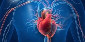 دل کے امراض سے بچاؤ کے آسان طریقے ، ماہرین کی نئی ہدایات