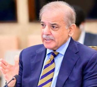 پاکستان عالمی امن و استحکام میں فعال کردار ادا کر رہا ہے، شہباز شریف