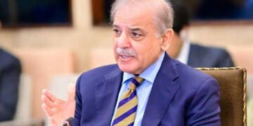 پاکستان عالمی امن و استحکام میں فعال کردار ادا کر رہا ہے، شہباز شریف