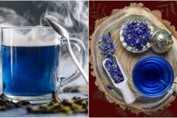 اینٹی آکسیڈنٹس سے بھرپور نیلی چائے: دل اور دماغ کے لیے بہترین 4 اینٹی آکسیڈنٹس سے بھرپور نیلی چائے: دل اور دماغ کے لیے بہترین