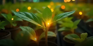 سائنس دانوں نے پودوں کے سانس لینے کے عمل کو براہِ راست دیکھنے میں کامیابی حاصل کر لی