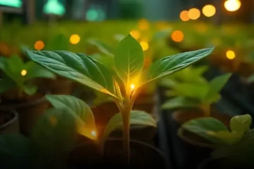 سائنس دانوں نے پودوں کے سانس لینے کے عمل کو براہِ راست دیکھنے میں کامیابی حاصل کر لی