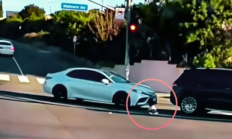 28092614fفلرٹن میں خوفناک حادثہ: 19 ماہ کا بچہ چلتی گاڑی سے گر گیاbe549d