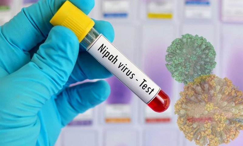 مہلک نیپا وائرس: علامات، علاج اور بچاؤ کے طریقے