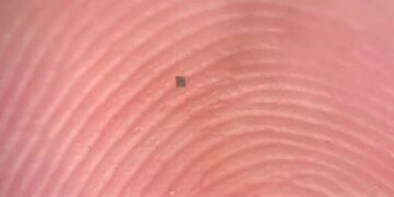 نمک کے دانے سے بھی چھوٹا خودکار روبوٹ تیار