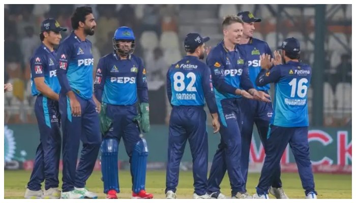 پی سی بی نے ملتان سلطانز کی فروخت کے لیے اشتہار جاری کر دیا