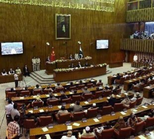 سینیٹ سے تولیدی صحت کی تعلیم کو نصاب میں شامل کرنے کا بل منظور