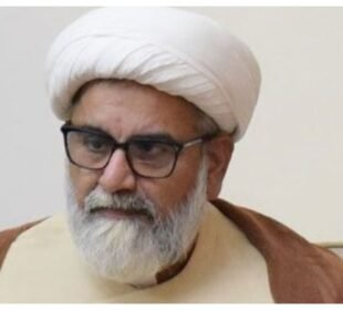 راجہ ناصر عباس سینیٹ میں اپوزیشن لیڈر مقرر