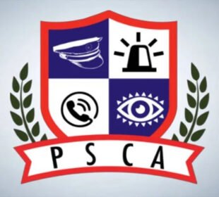 پنجاب میں ای ٹریفک چالان کے نام پر فراڈ کرنے والی درجنوں جعلی ویب سائٹس بند