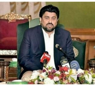 سانحہ گل پلازہ کے بعد گورنر سندھ کا فائر سیفٹی سے متعلق مفت تربیتی پروگرام شروع کرنے کا اعلان