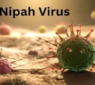 مغربی بنگال میں نپاہ وائرس کے پھیلاؤ کے بعد ہائی الرٹ، 100 افراد قرنطینہ میں