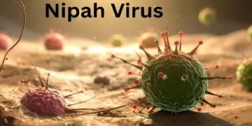 مغربی بنگال میں نپاہ وائرس کے پھیلاؤ کے بعد ہائی الرٹ، 100 افراد قرنطینہ میں