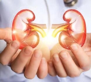 پھل، سبزیاں اور گریاں گردوں کے امراض سے تحفظ فراہم کر سکتی ہیں: تحقیق