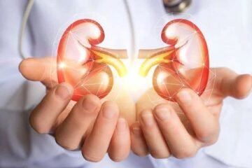 پھل، سبزیاں اور گریاں گردوں کے امراض سے تحفظ فراہم کر سکتی ہیں: تحقیق