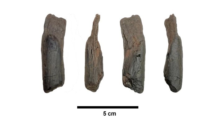 یونان میں دنیا کے قدیم ترین لکڑی کے اوزار دریافت ہونے کا امکان