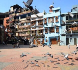 لاہور میں 346 عمارتیں خستہ حال، 92 خالی کروا دی گئیں 8 لاہور میں 346 عمارتیں خستہ حال، 92 خالی کروا دی گئیں