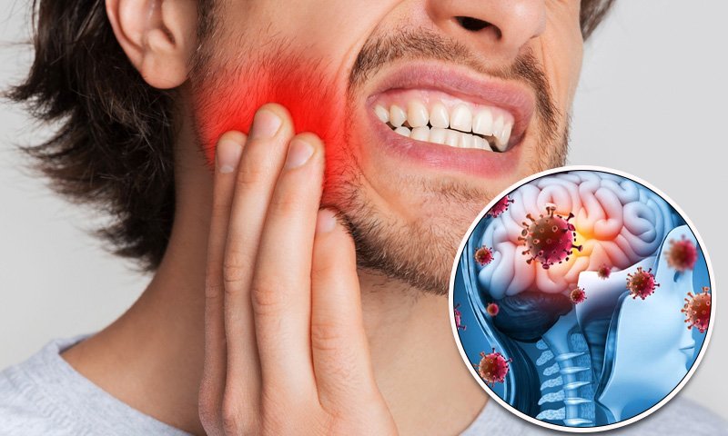 مسوڑھوں کا انفیکشن ملٹی پل سکلیروسز کی شدت بڑھا سکتا ہے، نئی تحقیق 1 مسوڑھوں کا انفیکشن ملٹی پل سکلیروسز کی شدت بڑھا سکتا ہے، نئی تحقیق