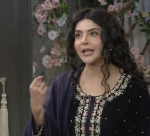 ندا یاسر کا نیا ہیئر اسٹائل سوشل میڈیا پر توجہ کا مرکز بن گیا