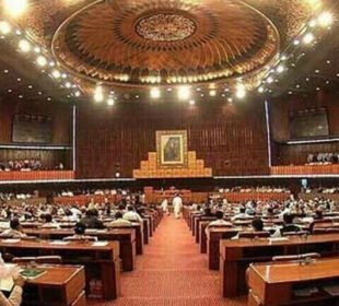 “الیکشن کمیشن نے 446 ارکان کی مالی گوشوارے جمع نہ کرنے کی فہرست جاری کر دی”