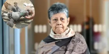 کبوتروں کو خوراک دینے پر خاتون کو بھاری جرمانہ