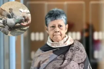 کبوتروں کو خوراک دینے پر خاتون کو بھاری جرمانہ