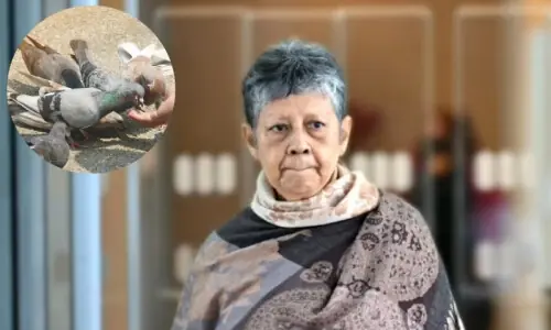 کبوتروں کو خوراک دینے پر خاتون کو بھاری جرمانہ