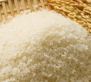 جاپان کا نایاب چاول: دنیا کا سب سے مہنگا اور نفیس ذائقہ