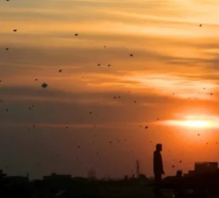 پتنگ، ڈور، خوراک اور ٹرانسپورٹ: بسنت نے معیشت کو نئی جان دے دی