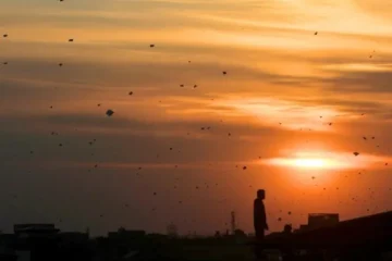 پتنگ، ڈور، خوراک اور ٹرانسپورٹ: بسنت نے معیشت کو نئی جان دے دی