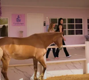 دبئی میں گھوڑے بن گئے انسان کے ذہنی سکون کے رازدار! 9 دبئی میں گھوڑے بن گئے انسان کے ذہنی سکون کے رازدار!