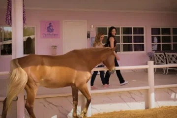 دبئی میں گھوڑے بن گئے انسان کے ذہنی سکون کے رازدار!