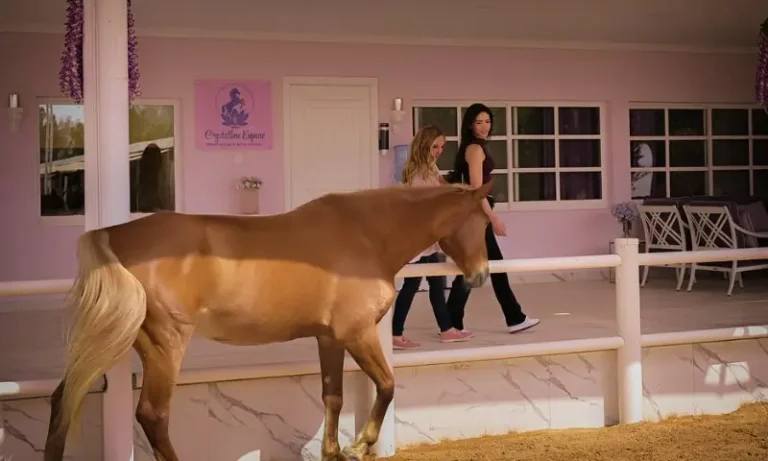 10100506دبئی میں گھوڑے بن گئے انسان کے ذہنی سکون کے رازدار!87a19e3