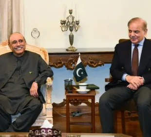 حکومت نے قانون سازی میں پیپلزپارٹی کو شامل کرنے کا فیصلہ کر لیا 10 حکومت نے قانون سازی میں پیپلزپارٹی کو شامل کرنے کا فیصلہ کر لیا