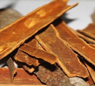 مہک بھی لاجواب، فائدے بھی بے شمار — دارچینی کیوں ہے ہر گھر کی ضرورت؟ 4 مہک بھی لاجواب، فائدے بھی بے شمار — دارچینی کیوں ہے ہر گھر کی ضرورت؟