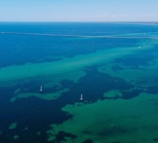 13 سالہ بچے نے خطرناک سمندر میں تیر کر خاندان کی جان بچالی