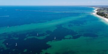 13 سالہ بچے نے خطرناک سمندر میں تیر کر خاندان کی جان بچالی