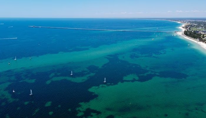 13 سالہ بچے نے خطرناک سمندر میں تیر کر خاندان کی جان بچالی